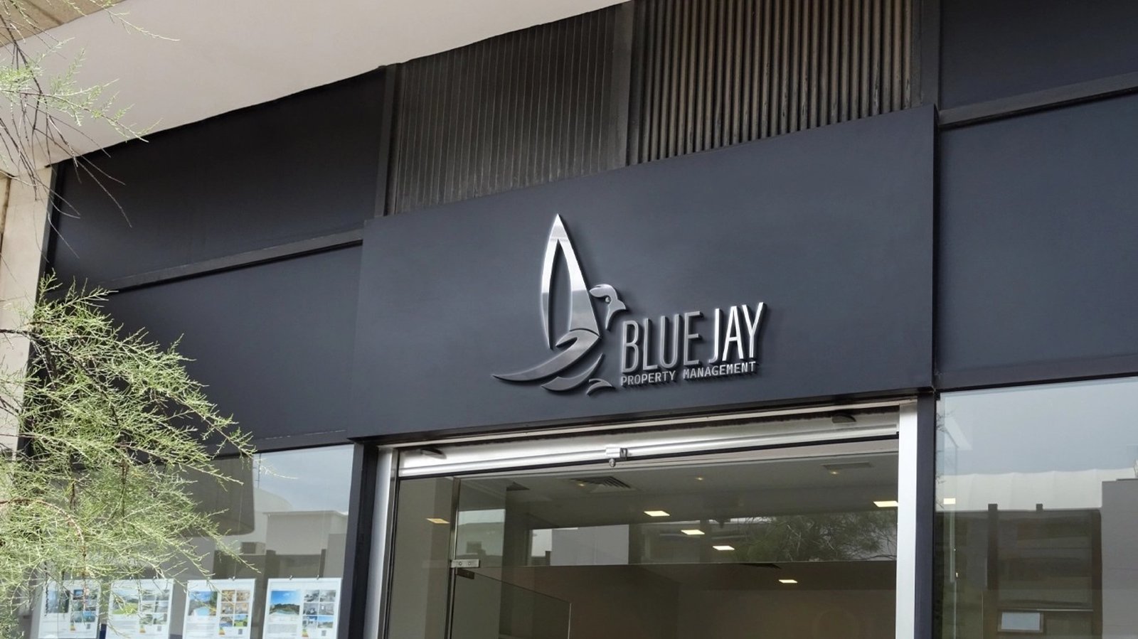 Blue Jay — logo, image 3 of 4